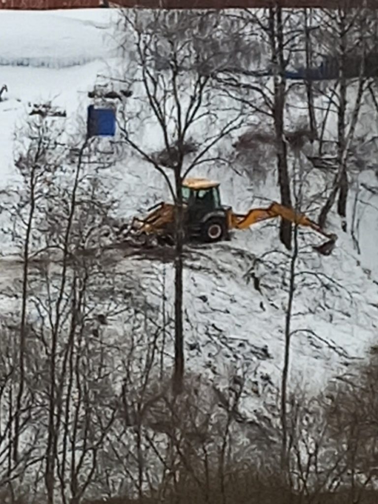 Вырубка деревьев в долине реки Грачевка