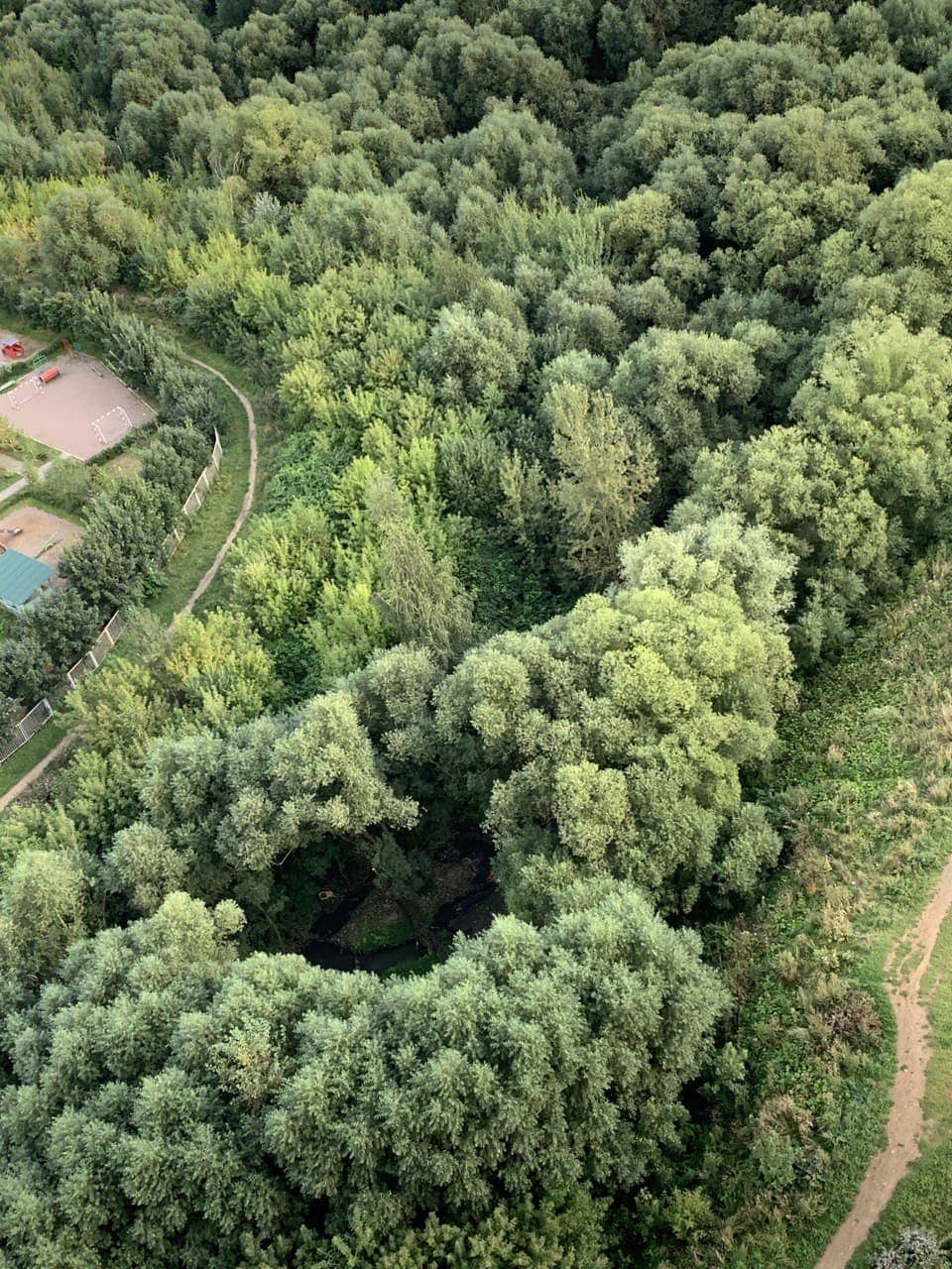 Природный парк долины реки Грачевка в Химках